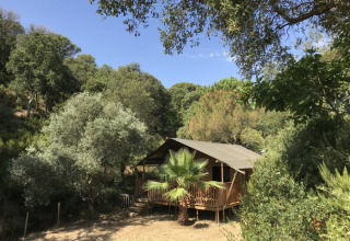 Tienda safari con instalaciones sanitarias rodeada de árboles en Camping Les Lauriers Roses, Francia.