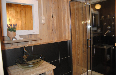 Salle de bain sous tente safari au Camping Roland aux Pays-Bas avec vasque en verre et cabine de douche.