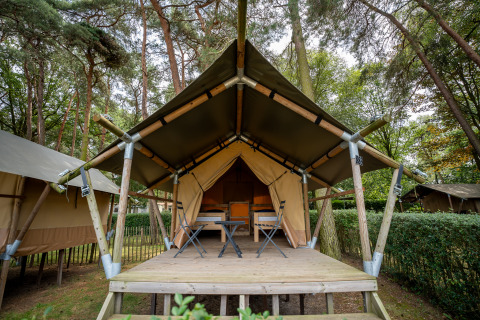 Een Duo Lodge op Familiepark Goolderheide in België, gelegen tussen bomen met houten veranda en campingstoelen.