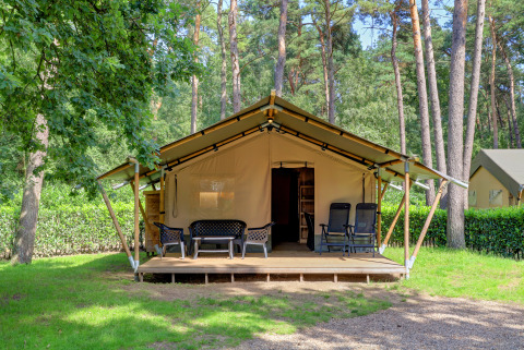 Safari-Zelt mit eigener Terrasse und Sitzgelegenheiten, umgeben von Bäumen und grüner Natur.