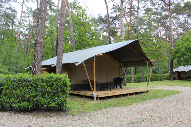 Tienda safari con porche cubierto y baño privado en Familiepark Goolderheide, Bélgica.