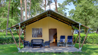Tenda safari con veranda, sedie da giardino e poltrone, immersa tra alberi e natura rigogliosa.