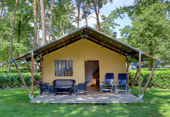 Tenda safari con veranda, sedie da giardino e poltrone, immersa tra alberi e natura rigogliosa.