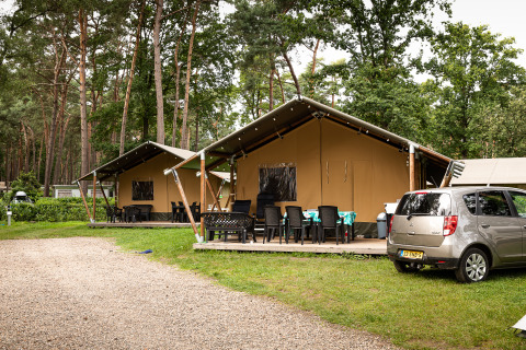 Safaritenten bij Familiepark Goolderheide in België, omringd door bos, terrasmeubels en een geparkeerde auto.