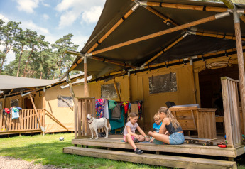 Børn leger på verandaen af et safaritelt med en hund, tøj og træer i baggrunden, Safari tent + sanitet.
