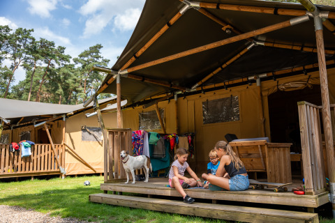 Niños juegan en el porche de una tienda safari con un perro, ropa colgada y árboles, Safari tent + sanitario.