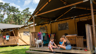 Børn leger på verandaen af et safaritelt med en hund, tøj og træer i baggrunden, Safari tent + sanitet.