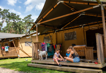 Niños juegan en el porche de una tienda safari con un perro, ropa colgada y árboles, Safari tent + sanitario.