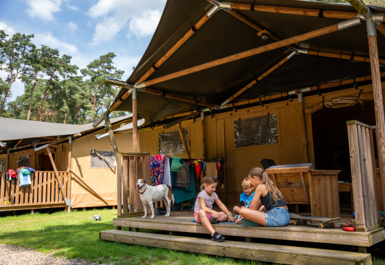 Des enfants jouent sur la terrasse d'une tente safari avec un chien, du linge et des arbres, Safari tent + sanitaire.
