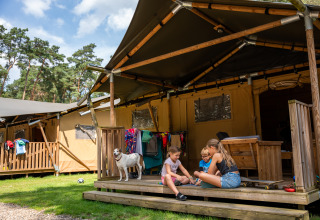 Kinder spielen auf der Veranda eines Safarizelts mit Hund, Kleidung und Bäumen, Safari tent + Sanitär.