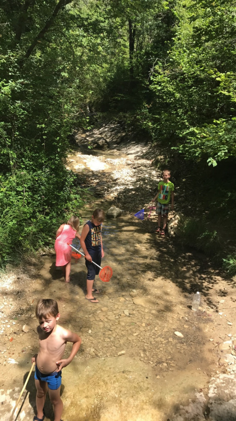 Niños juegan en un arroyo poco profundo entre árboles verdes en Camping Le Gallo Romain, Auvergne-Rhône-Alpes.