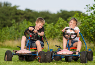 To børn kører gokarts og griner sammen på en græsmark i ferieparken Feather Down De Zeekraal Terschelling.