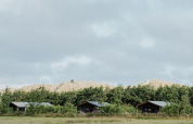 Tre træhytter står på en grøn mark med træer og bakker i baggrunden under en overskyet himmel.