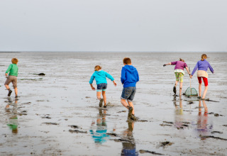 Kinder spielen im Wattenmeer nahe Oosterend, Friesland, Niederlande, bei bewölktem Wetter.