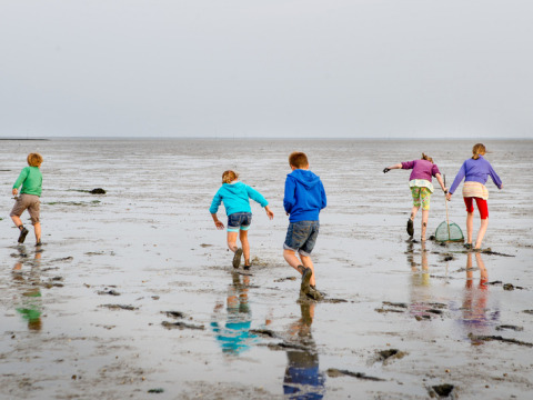 Kinder spielen im Wattenmeer nahe Oosterend, Friesland, Niederlande, bei bewölktem Wetter.