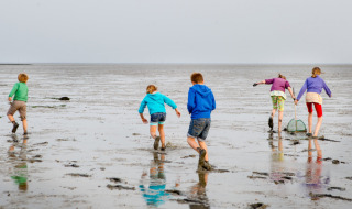Niños exploran lodazales cerca de Oosterend, Frisia, Países Bajos, bajo un cielo nublado.