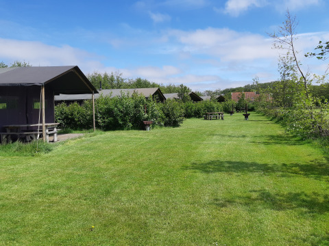 Green campsite with tents, benches, and blue sky at Feather Down De Zeekraal Terschelling in Friesland, Netherlands.