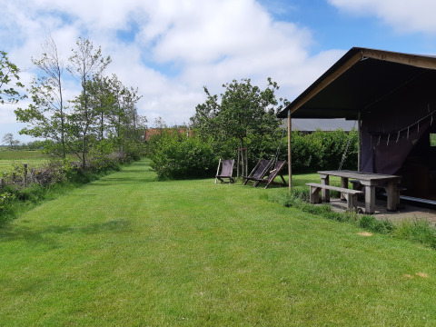 Buitenzicht bij Feather Down De Zeekraal Terschelling met grasveld, zitbanken en zonnige hemel.