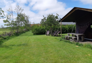 Outdoor scene at Feather Down De Zeekraal Terschelling with grassy lawn, benches, chairs and sunny sky.