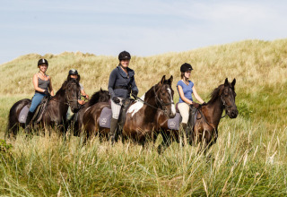 Quattro persone a cavallo cavalcano tra le dune erbose a Feather Down De Zeekraal Terschelling, Friesland.
