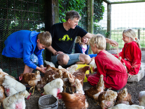 Famille nourrissant ensemble des poules dans un enclos à Feather Down De Zeekraal Terschelling, Frise, Pays-Bas.