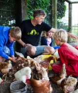 Familie fodrer høns sammen i en indhegning på Feather Down De Zeekraal Terschelling, Friesland, Nederlandene.