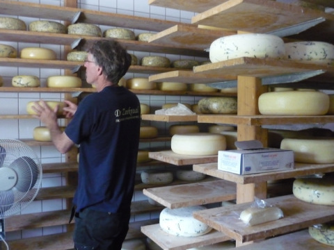 Uomo che sistema forme di formaggio sugli scaffali a Feather Down De Zeekraal Terschelling, Friesland, Paesi Bassi.