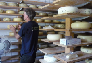 Uomo che sistema forme di formaggio sugli scaffali a Feather Down De Zeekraal Terschelling, Friesland, Paesi Bassi.