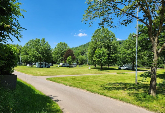 Camper parcheggiati tra gli alberi al parco vacanze Camp Diekirch a Diekirch, Lussemburgo.