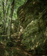 Rocce e fitta foresta vicino a Diekirch, Lussemburgo, con luce solare filtrante tra gli alberi alti.