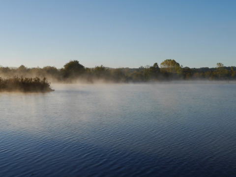 Niebla matutina sobre el lago en Camping lac Aux Oiseaux en Occitania, Francia, con árboles al fondo.