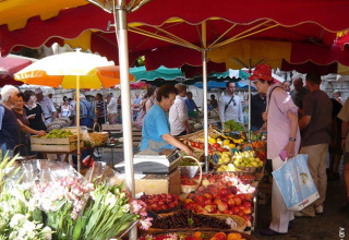 Scena di mercato al Camping lac Aux Oiseaux in Occitania, Francia, con banchi di frutta e ombrelli colorati.