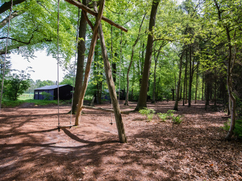 Parco giochi con altalene nei boschi di Feather Down Het Wesselink in Salland, villaggio vacanze in Overijssel, Paesi Bassi.