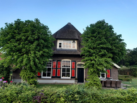 Maison néerlandaise traditionnelle au toit de chaume et volets rouges, entourée d’arbres verts à Overijssel.