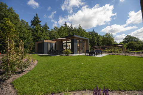 A modern lodge with large windows, patio furniture, umbrella, and a lush green lawn surrounded by trees.