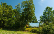 Pequeña casa espejo, ÖÖD Suite, oculta entre árboles verdes en Wilsumer Berge, Alemania.