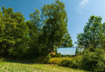 Spiegelende tiny house, ÖÖD Suite, verscholen tussen groene bomen in Wilsumer Berge, Duitsland.