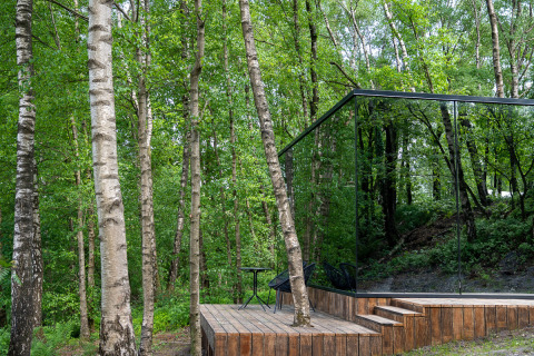 Spejlet tiny house ÖÖD Suite ved Wilsumer Berge i Tyskland, omgivet af grøn frodig skov og birketræer.