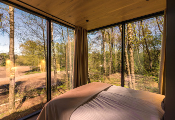 Bedroom view in a tiny house with glass walls at ÖÖD Suite, Wilsumer Berge, Germany, overlooking forest.