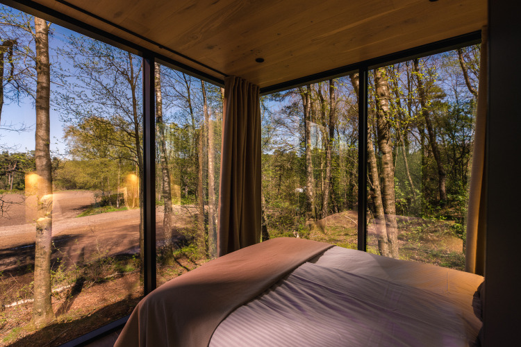 Bedroom view in a tiny house with glass walls at ÖÖD Suite, Wilsumer Berge, Germany, overlooking forest.