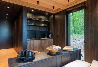 Modern tiny wooden cabin with dark wood paneling, compact kitchen, and large window overlooking a forest.