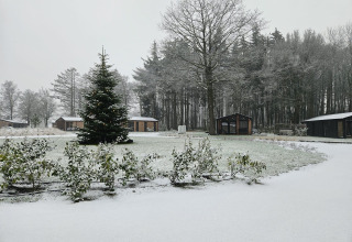 Escena invernal en un lodge con cabañas cubiertas de nieve, un árbol de Navidad y árboles nevados.
