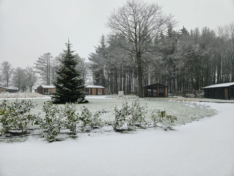 Escena invernal en un lodge con cabañas cubiertas de nieve, un árbol de Navidad y árboles nevados.