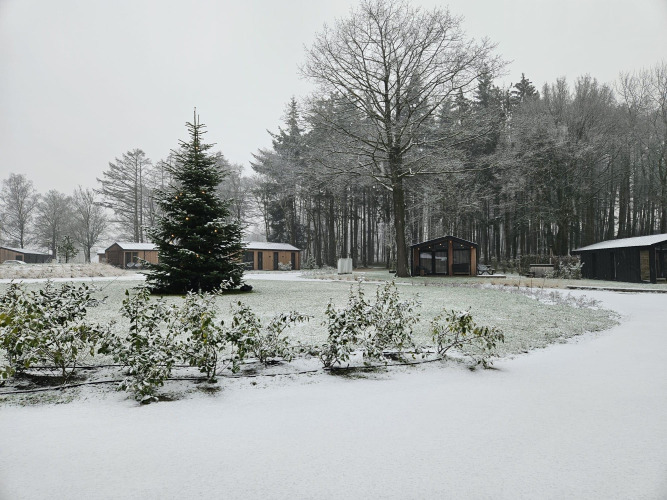 Winter scene at a lodge featuring snow-covered cabins, a central Christmas tree, and frosty trees.