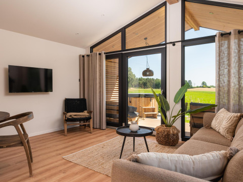 Sala de estar de lodge moderno con grandes ventanales, vistas al campo, muebles de madera y plantas.