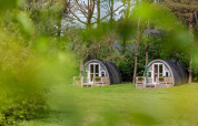 Dos encantadoras cabañas curvas en Woodlodge en Wilsumer Berge, Alemania, vistas entre hojas verdes.