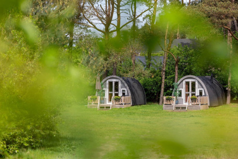 Two charming, curved lodges at Woodlodge in Wilsumer Berge, Germany, framed by lush green foliage.