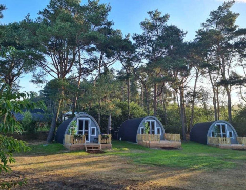 Tre hyggelige træhytter i skoven på Woodlodge ved Wilsumer Berge, Tyskland, omgivet af høje fyrretræer.