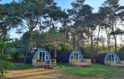 Tre hyggelige træhytter i skoven på Woodlodge ved Wilsumer Berge, Tyskland, omgivet af høje fyrretræer.