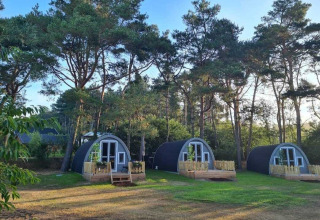 Tre hyggelige træhytter i skoven på Woodlodge ved Wilsumer Berge, Tyskland, omgivet af høje fyrretræer.